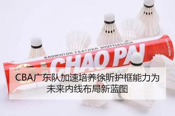 CBA广东队加速培养徐昕护框能力为未来内线布局新蓝图
